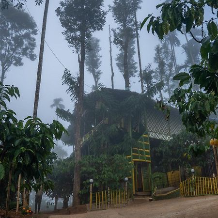 The Mountain Tree Home Wayanad Exterior foto