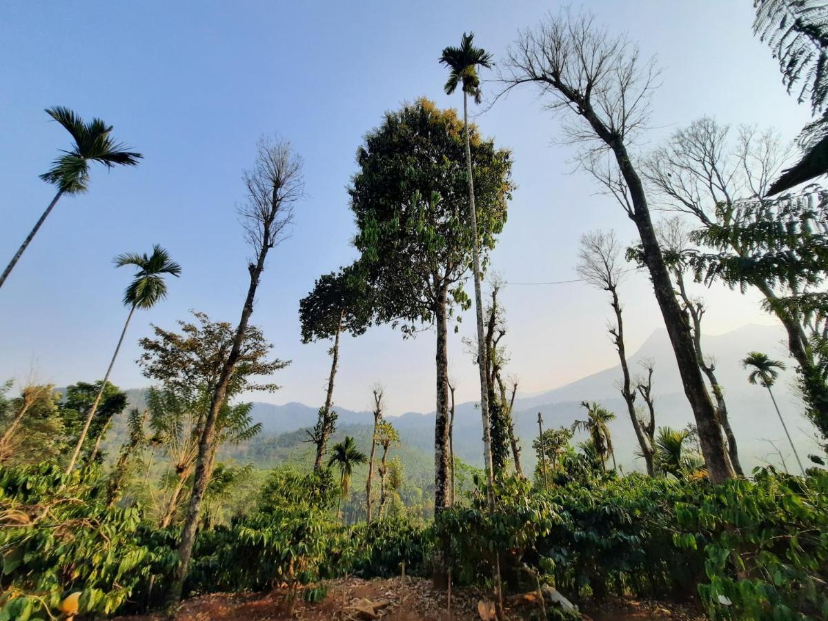 The Mountain Tree Home Wayanad Exterior foto