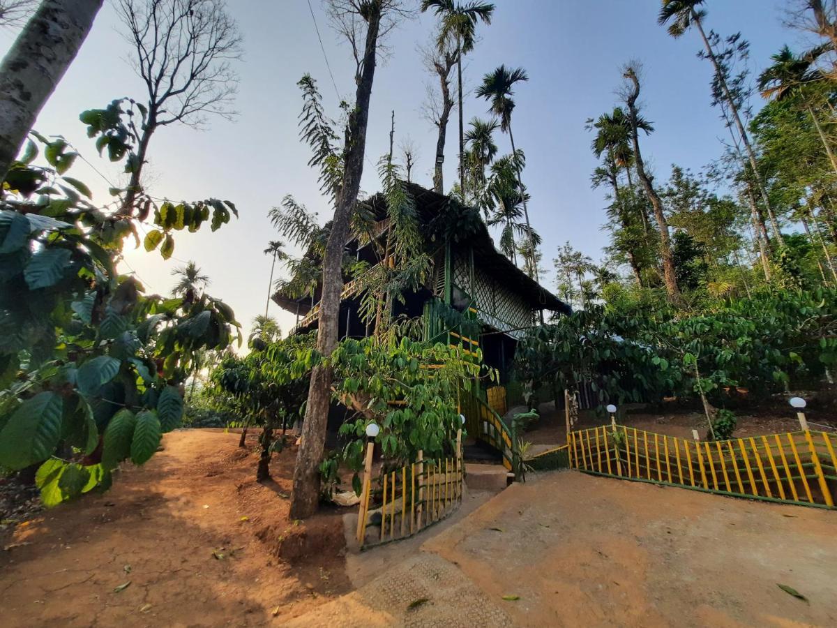 The Mountain Tree Home Wayanad Exterior foto