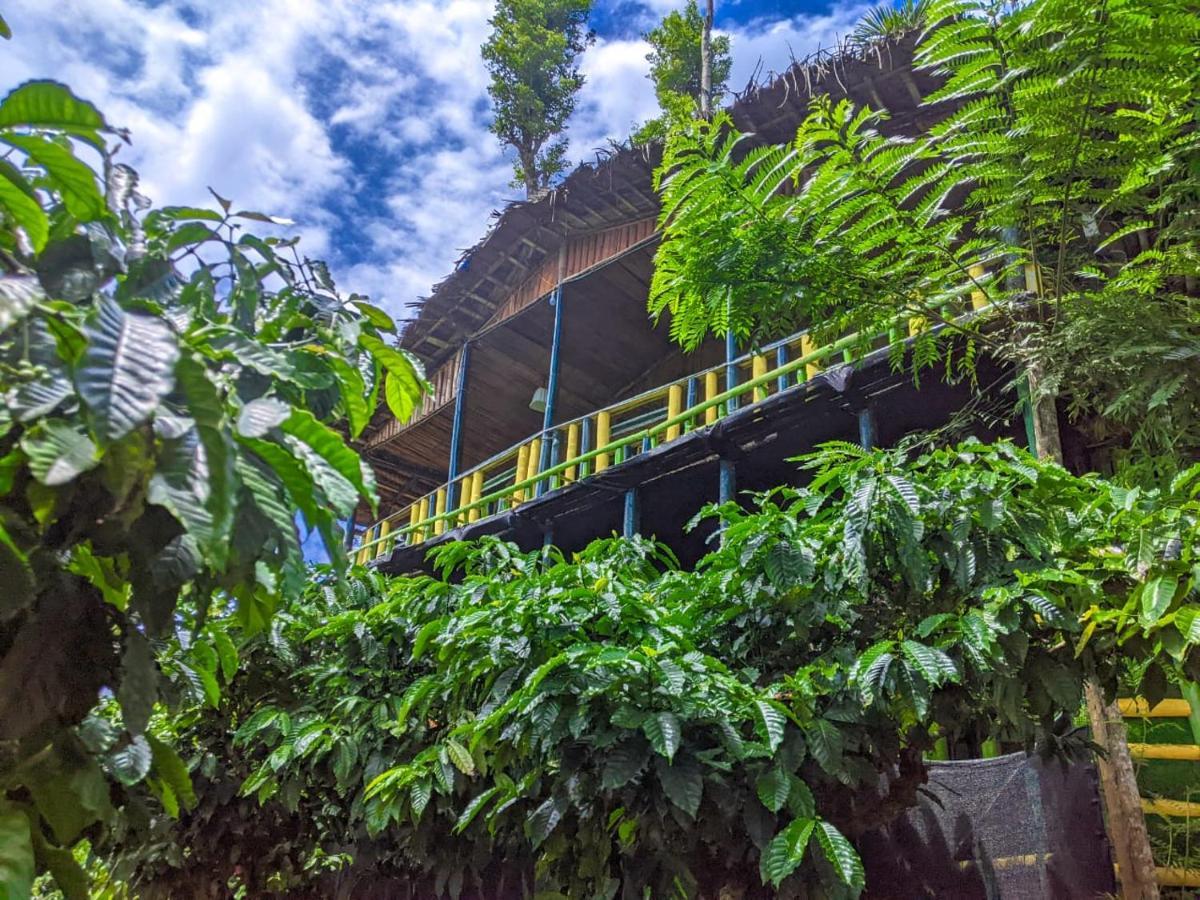The Mountain Tree Home Wayanad Exterior foto